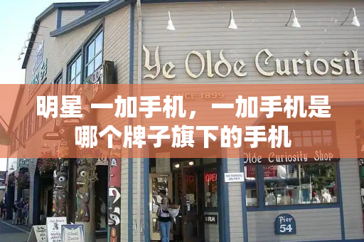 明星 一加手机，一加手机是哪个牌子旗下的手机