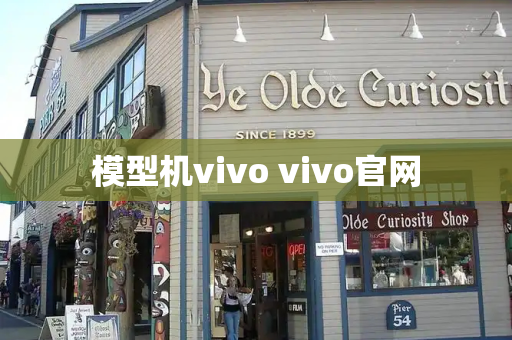 模型机vivo vivo官网
