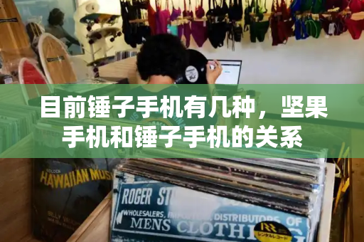 目前锤子手机有几种，坚果手机和锤子手机的关系-第1张图片-星选测评