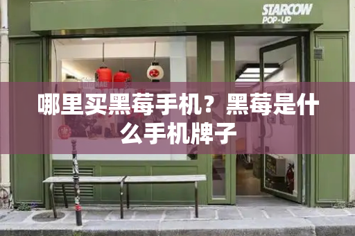 哪里买黑莓手机？黑莓是什么手机牌子-第1张图片-星选测评