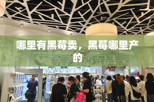 哪里有黑莓卖，黑莓哪里产的