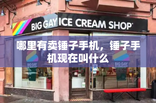 哪里有卖锤子手机，锤子手机现在叫什么