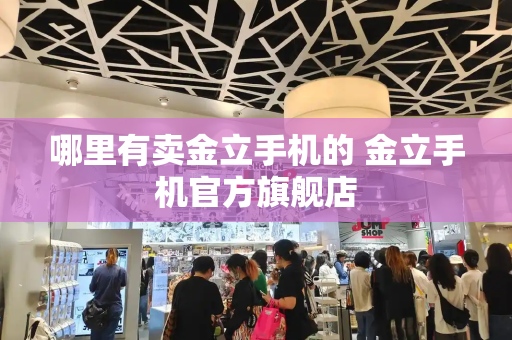 哪里有卖金立手机的 金立手机官方旗舰店