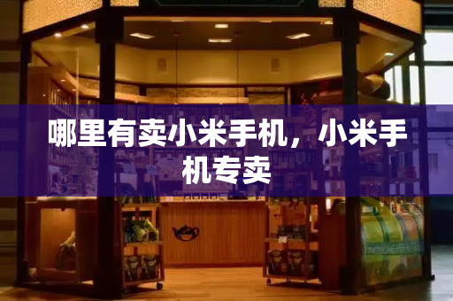 哪里有卖小米手机，小米手机专卖-第1张图片-星选测评