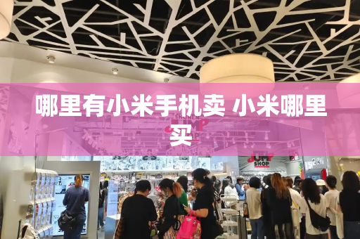 哪里有小米手机卖 小米哪里买