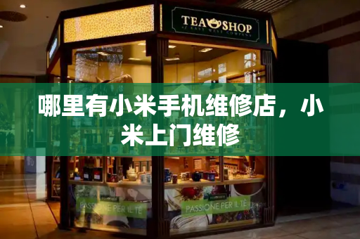 哪里有小米手机维修店，小米上门维修-第1张图片-星选测评