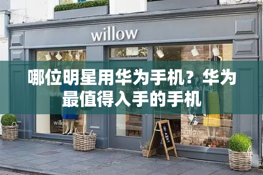 哪位明星用华为手机？华为最值得入手的手机-第1张图片-星选测评