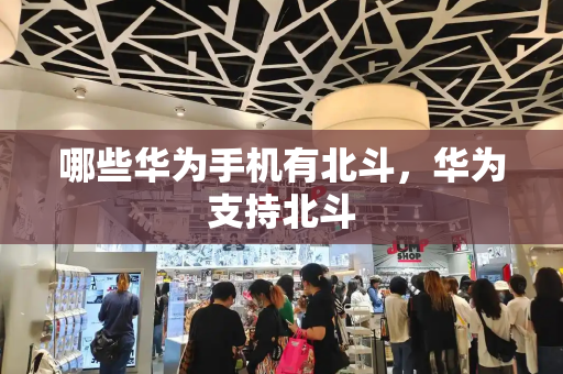 哪些华为手机有北斗，华为支持北斗