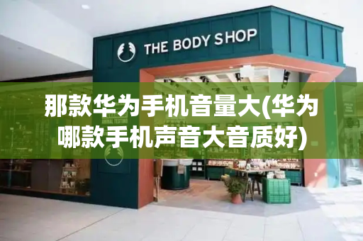 那款华为手机音量大(华为哪款手机声音大音质好)-第1张图片-星选测评
