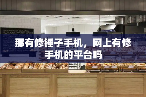 那有修锤子手机，网上有修手机的平台吗