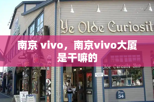南京 vivo，南京vivo大厦是干嘛的-第1张图片-星选测评