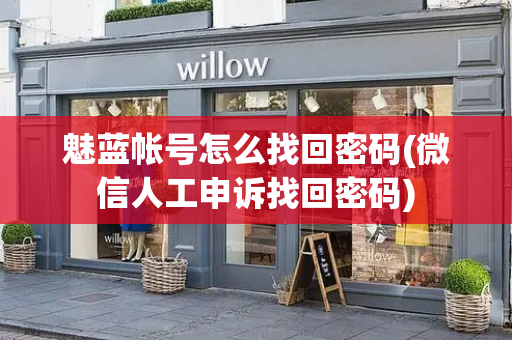 魅蓝帐号怎么找回密码(微信人工申诉找回密码)-第1张图片-星选测评
