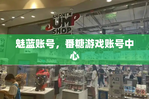 魅蓝账号，番糖游戏账号中心