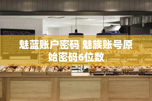 魅蓝账户密码 魅族账号原始密码6位数-第1张图片-星选测评