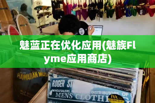 魅蓝正在优化应用(魅族Flyme应用商店)-第1张图片-星选测评