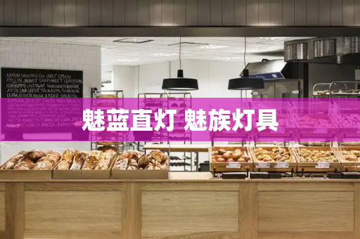魅蓝直灯 魅族灯具