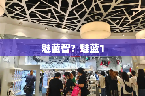 魅蓝智？魅蓝1-第1张图片-星选测评