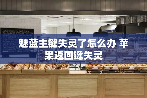 魅蓝主键失灵了怎么办 苹果返回键失灵