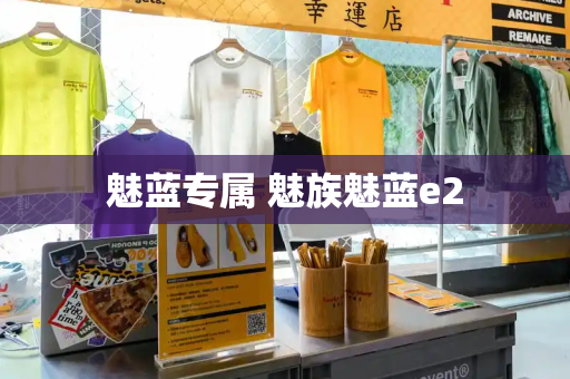 魅蓝专属 魅族魅蓝e2-第1张图片-星选测评