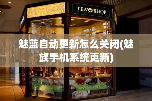 魅蓝自动更新怎么关闭(魅族手机系统更新)