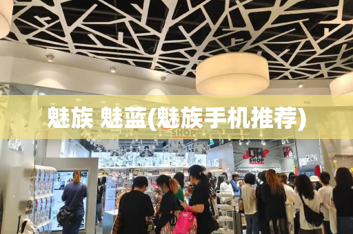 魅族 魅蓝(魅族手机推荐)