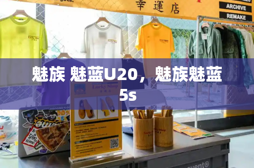 魅族 魅蓝U20，魅族魅蓝5s-第1张图片-星选测评