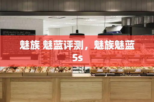 魅族 魅蓝评测，魅族魅蓝5s-第1张图片-星选测评