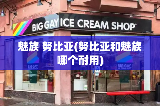 魅族 努比亚(努比亚和魅族哪个耐用)