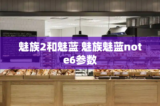 魅族2和魅蓝 魅族魅蓝note6参数-第1张图片-星选测评