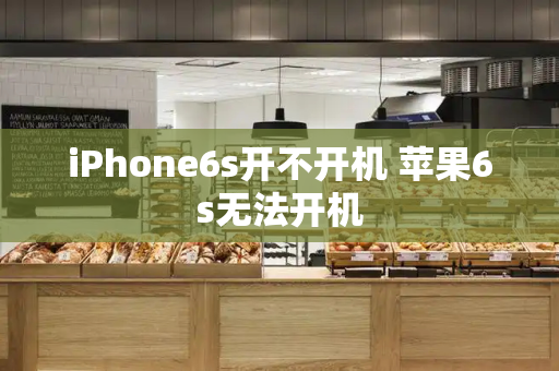 iPhone6s开不开机 苹果6s无法开机-第1张图片-星选测评