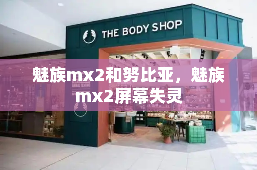 魅族mx2和努比亚，魅族mx2屏幕失灵
