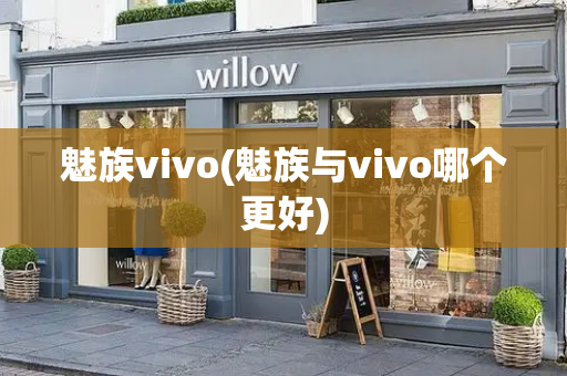 魅族vivo(魅族与vivo哪个更好)