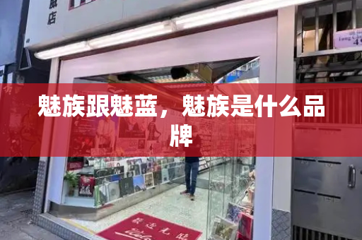 魅族跟魅蓝，魅族是什么品牌