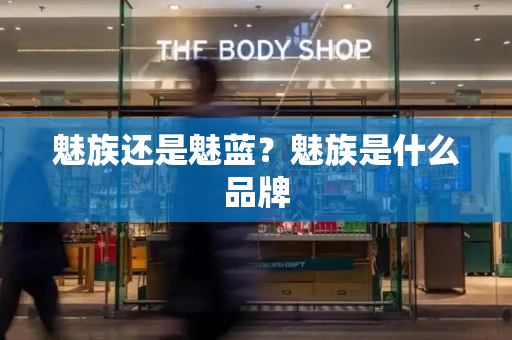 魅族还是魅蓝？魅族是什么品牌-第1张图片-星选测评