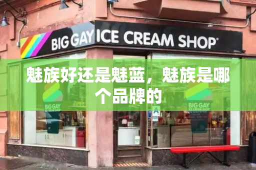 魅族好还是魅蓝，魅族是哪个品牌的