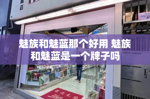 魅族和魅蓝那个好用 魅族和魅蓝是一个牌子吗-第1张图片-星选测评