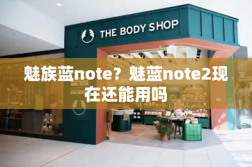 魅族蓝note？魅蓝note2现在还能用吗-第1张图片-星选测评