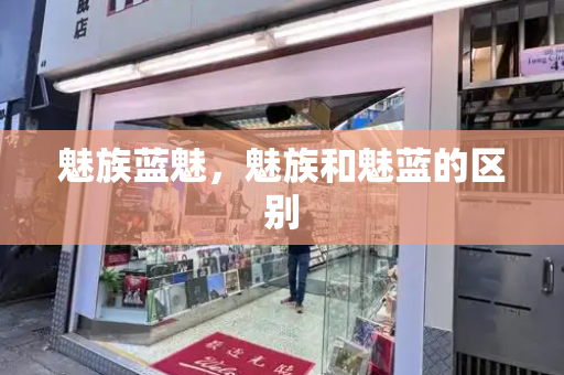 魅族蓝魅，魅族和魅蓝的区别-第1张图片-星选测评
