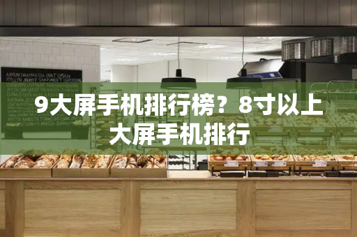 9大屏手机排行榜？8寸以上大屏手机排行-第1张图片-星选测评