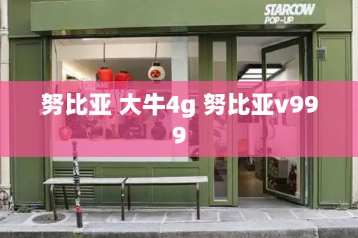 努比亚 大牛4g 努比亚v999-第1张图片-星选测评