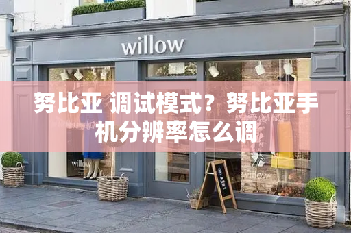 努比亚 调试模式？努比亚手机分辨率怎么调-第1张图片-星选测评