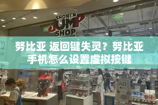 努比亚 返回键失灵？努比亚手机怎么设置虚拟按键-第1张图片-星选测评