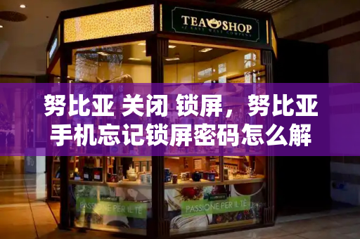 努比亚 关闭 锁屏，努比亚手机忘记锁屏密码怎么解