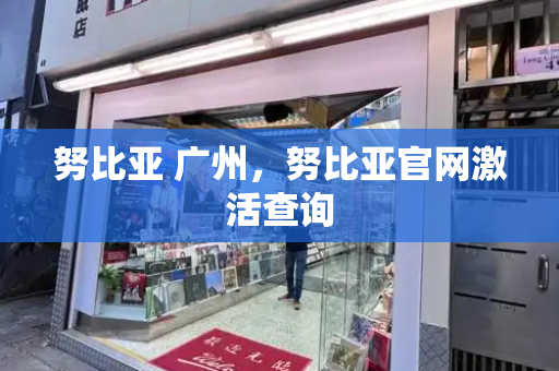 努比亚 广州，努比亚官网激活查询