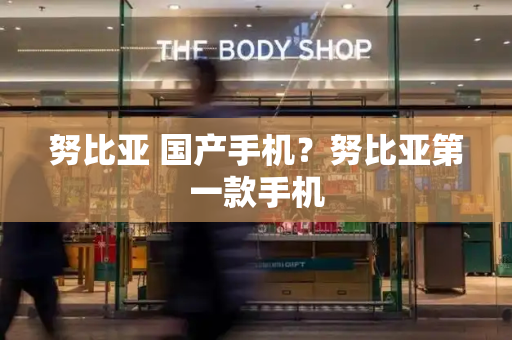 努比亚 国产手机？努比亚第一款手机-第1张图片-星选测评