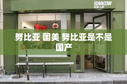 努比亚 国美 努比亚是不是国产-第1张图片-星选测评