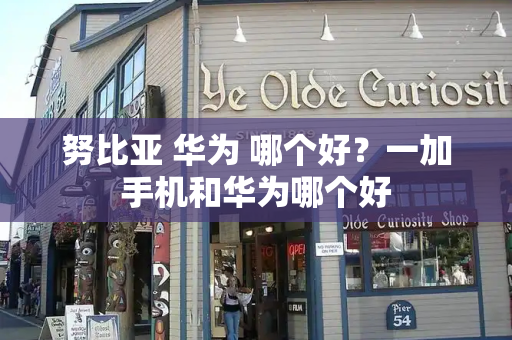 努比亚 华为 哪个好？一加手机和华为哪个好