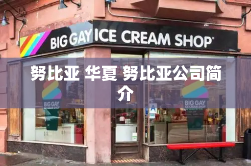 努比亚 华夏 努比亚公司简介