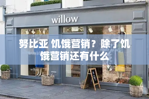 努比亚 饥饿营销？除了饥饿营销还有什么
