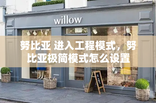 努比亚 进入工程模式，努比亚极简模式怎么设置